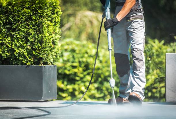 Best Spring Cleaning  in O, MI