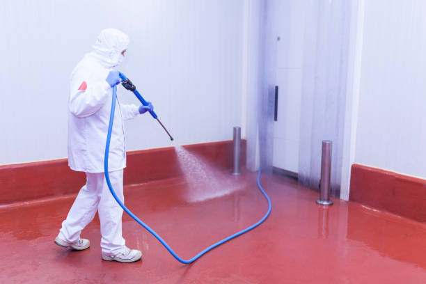 Best Patio and Deck Pressure Washing  in O, MI