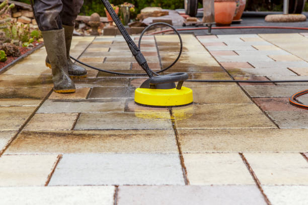 Best Pool Deck Cleaning  in O, MI